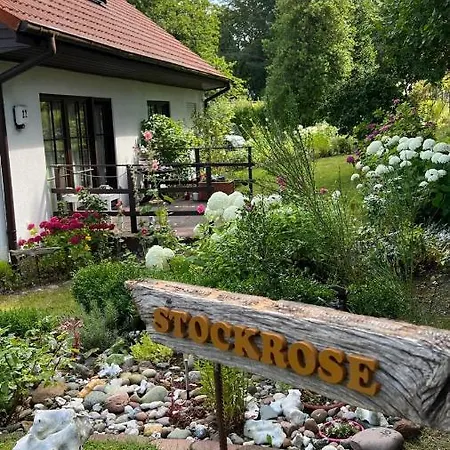 Ferienwohnung Stockrose Lohme Buitenkant foto