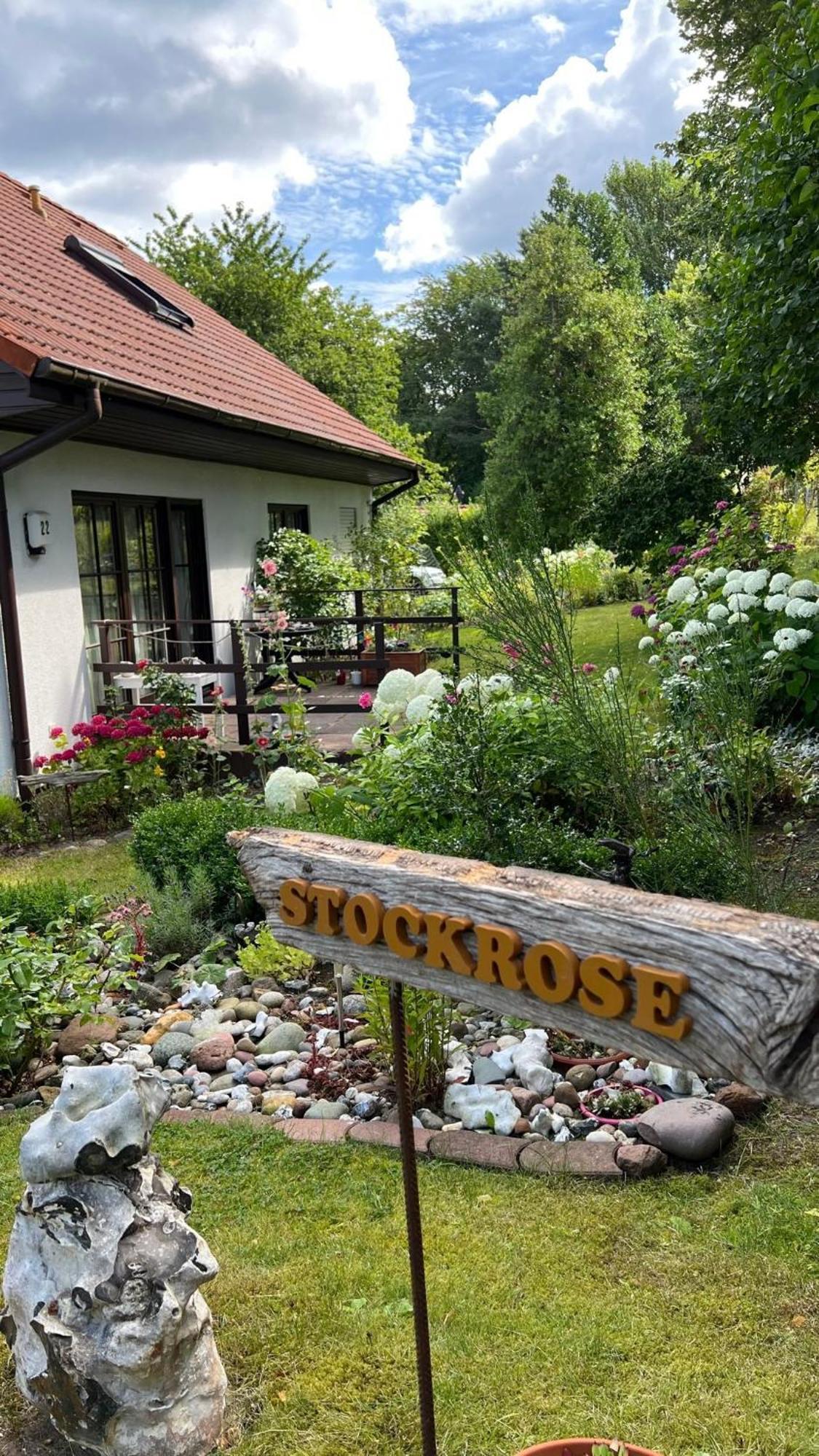 Stockrose * Lohme